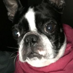 Meet your Posher, John